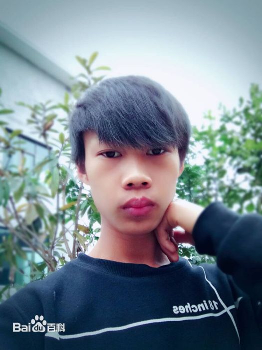 傻珂 傻珂
