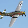 P-51B戰鬥機 P-51B戰鬥機
