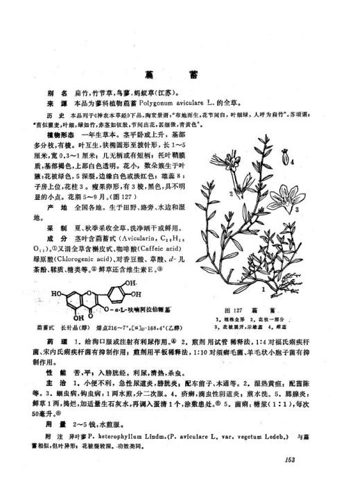 扁蓄組 扁蓄組