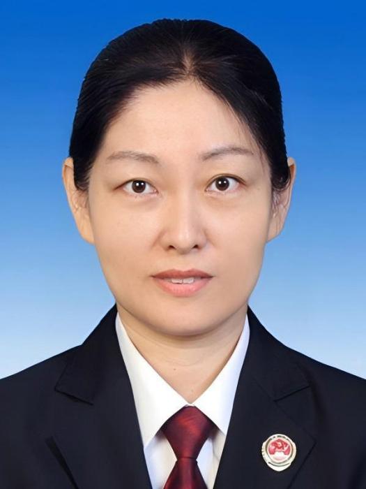 盧焱(天津市津南區委常委、組織部部長) 盧焱(天津市津南區委常委、組織部部長)