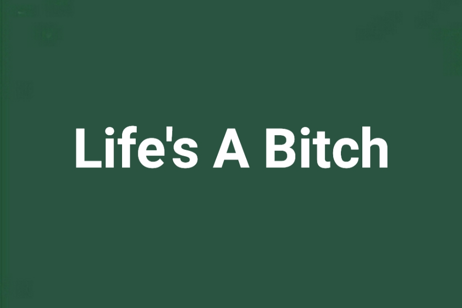 Life\x27s A Bitch(派爺創作的網路小說) Life\x27s A Bitch(派爺創作的網路小說)