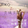 EXO之戀璃芷渃 EXO之戀璃芷渃