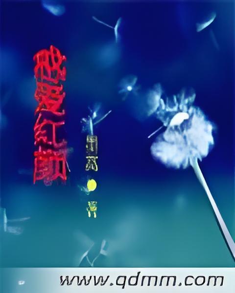 惑愛紅顏 惑愛紅顏