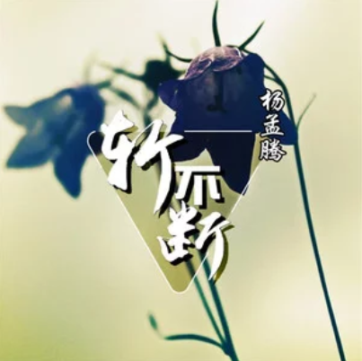 嶄不斷 嶄不斷