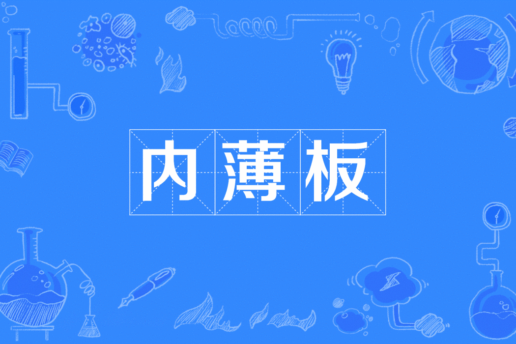 內薄板 內薄板
