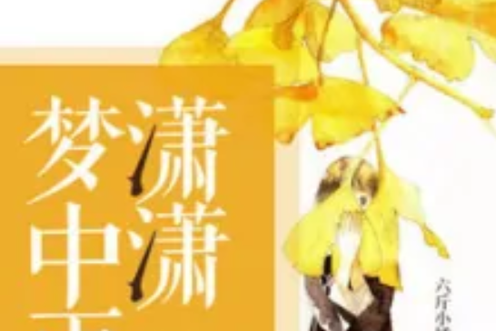 瀟瀟夢中雨 瀟瀟夢中雨