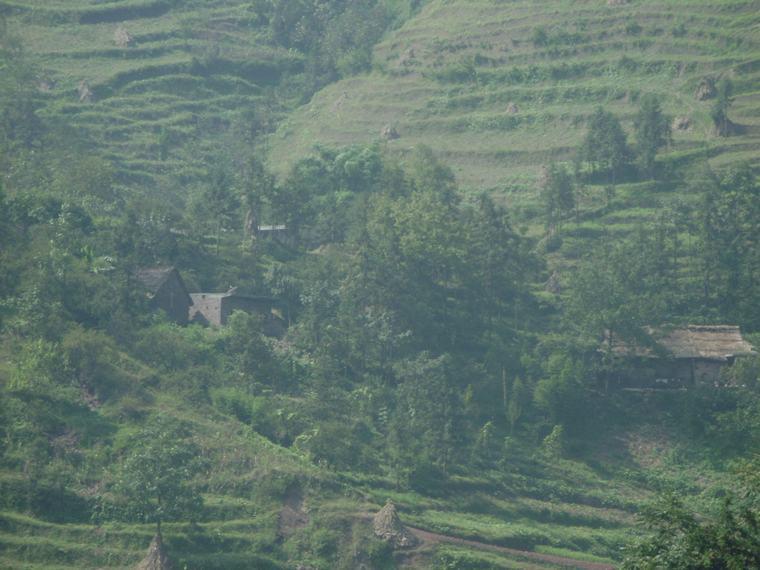 曾家坡村 曾家坡村