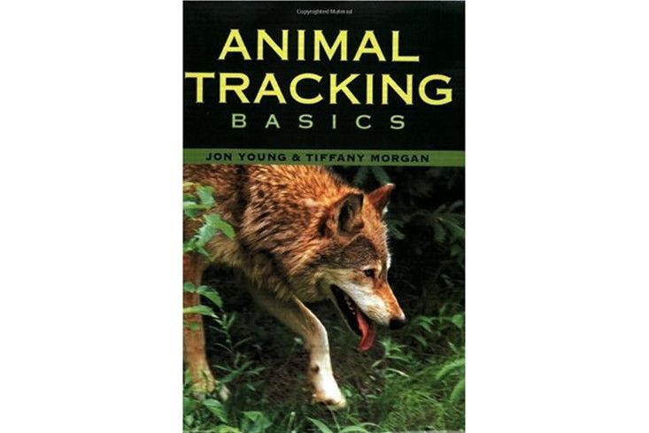 Animal Tracking Basics
