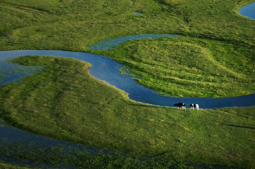 內蒙古灤河源國家森林公園