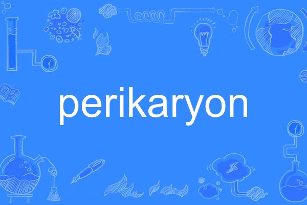 perikaryon perikaryon