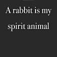 A Rabbit Is My Spirit Animal A Rabbit Is My Spirit Animal