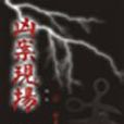 兇案現場(起點網小說) 兇案現場(起點網小說)