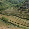 上蚌格村 上蚌格村