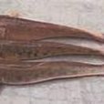 沙逛魚 沙逛魚