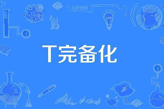 T完備化 T完備化