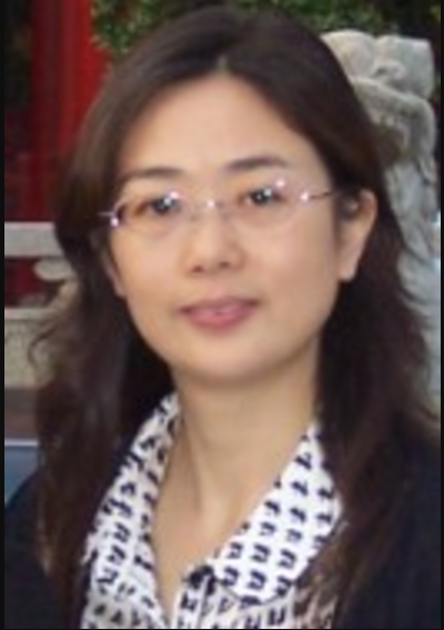 劉燕(北京大學軟體與微電子學院副教授)