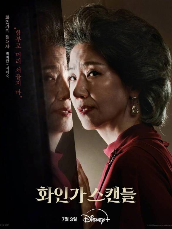紅天鵝(韓國2024年金荷娜,鄭智薰主演的電視劇) 紅天鵝(韓國2024年金荷娜,鄭智薰主演的電視劇)
