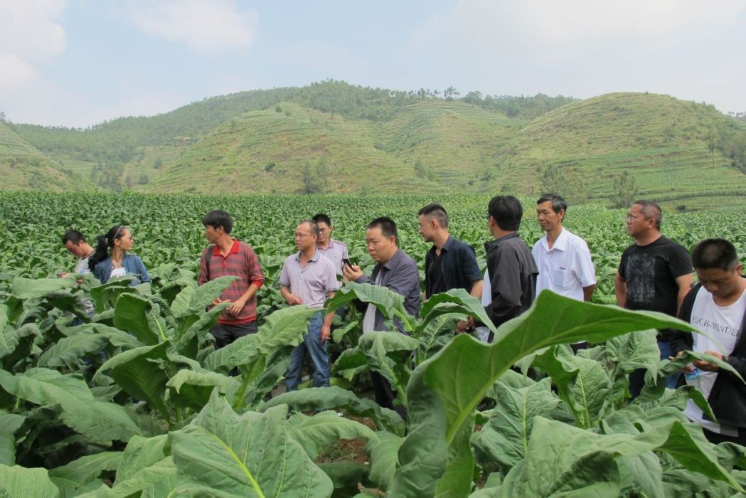 下艾茂村 下艾茂村
