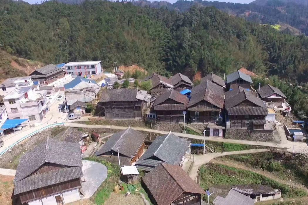 登界村 登界村