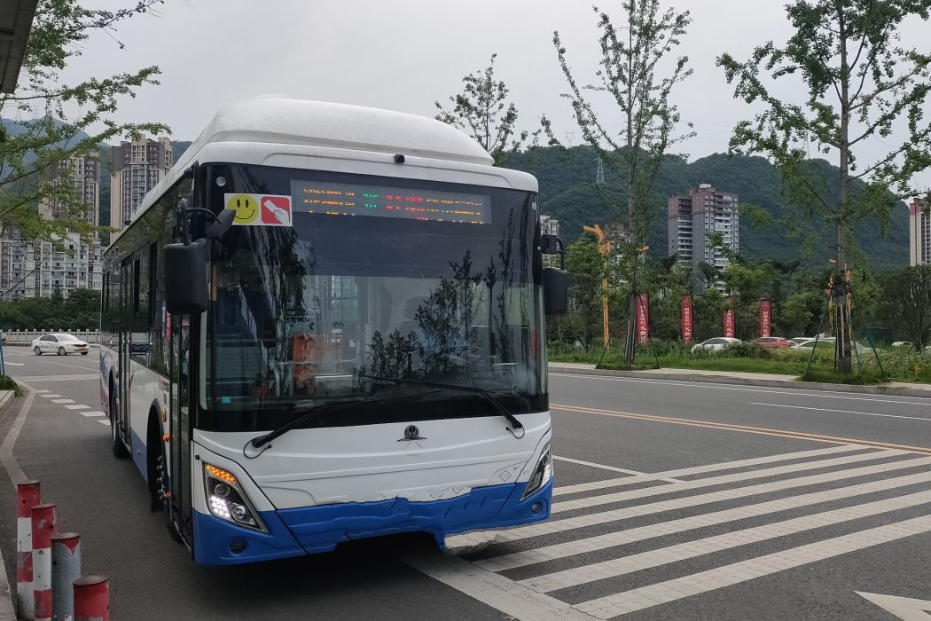 樂山公交309路 樂山公交309路