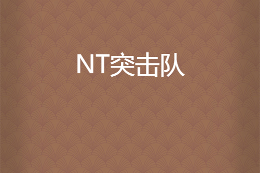 NT突擊隊 NT突擊隊
