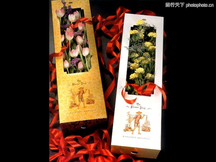 娛樂盒子 娛樂盒子