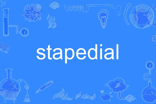 stapedial stapedial