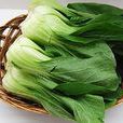 小青菜 小青菜