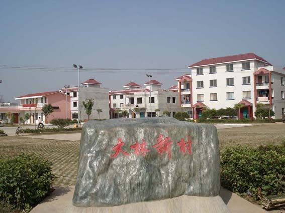 大林新村 大林新村