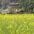 莫井鄉 莫井鄉