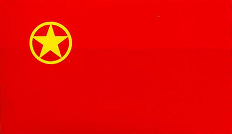 中國共產主義青年團章程(團章)