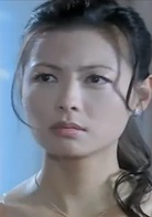 天若有情(2005年董潔、車仁表主演電視劇)