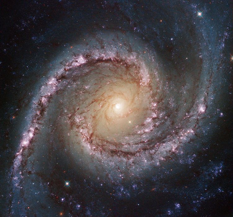 NGC 1566 NGC 1566
