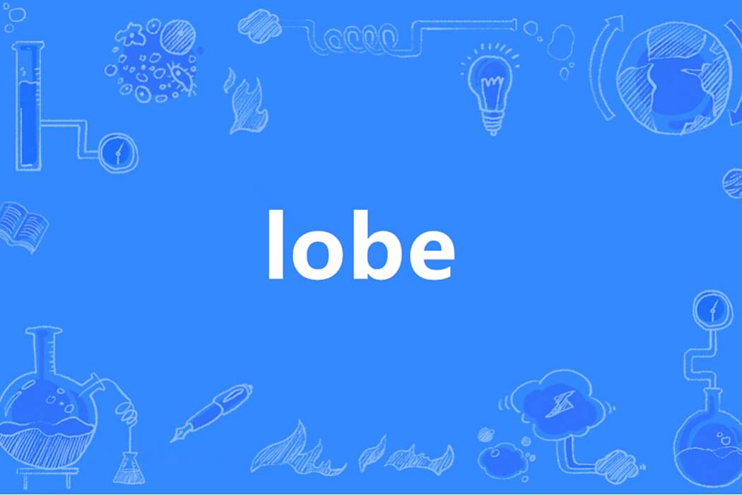 Lobe(英語單詞) Lobe(英語單詞)