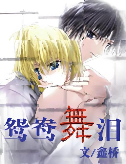 鴛鴦舞淚 鴛鴦舞淚