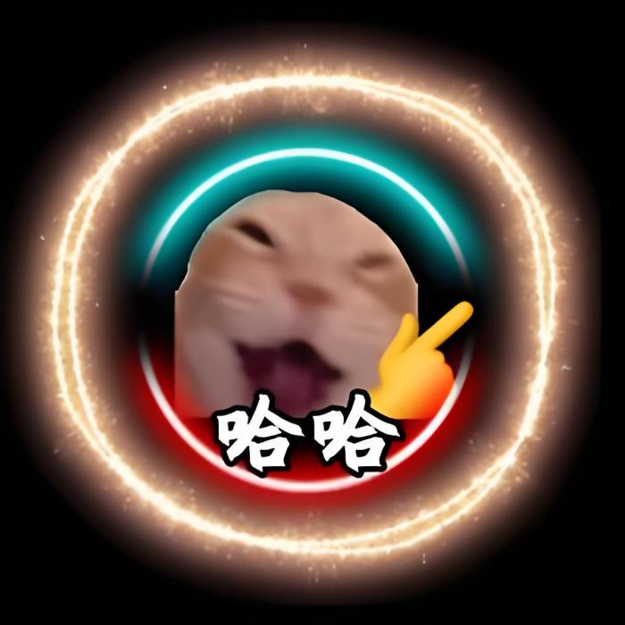 貓meme的圓