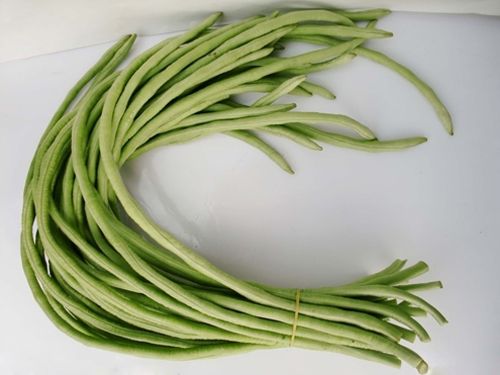 赤裕十號 赤裕十號