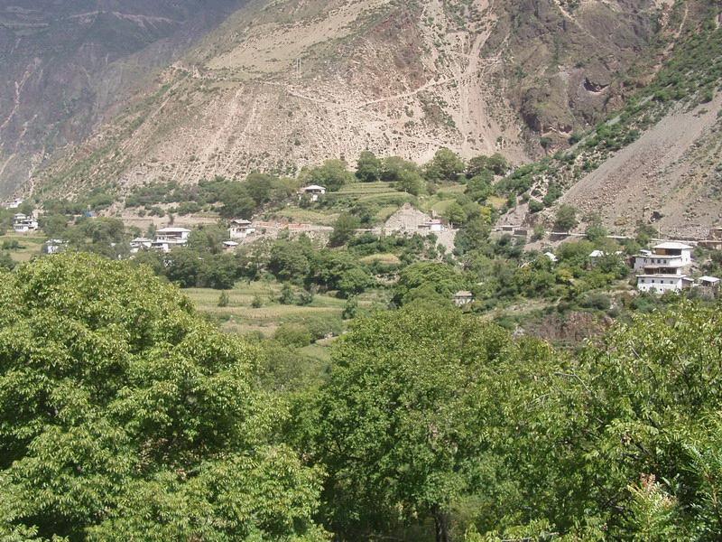 羊咱村 羊咱村