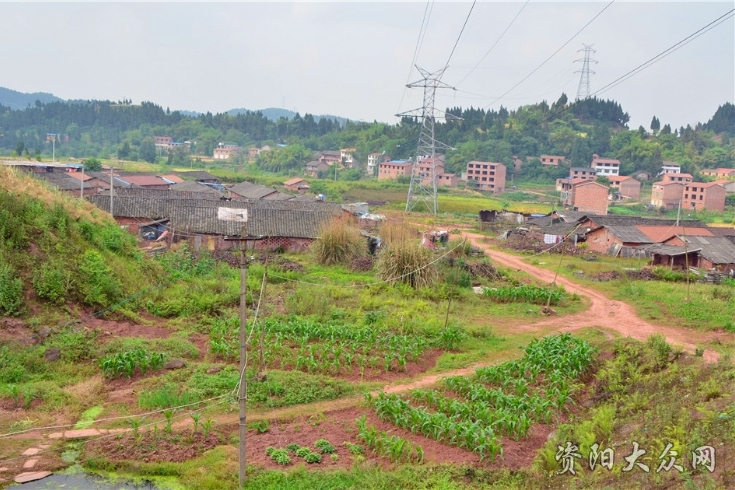 秀才村(四川省金坪鎮下轄村) 秀才村(四川省金坪鎮下轄村)