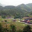 里村村 里村村