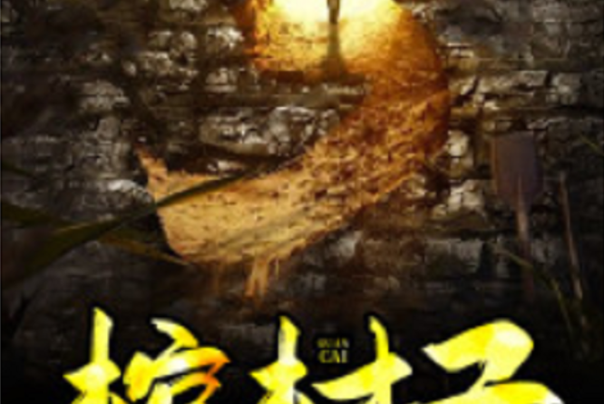 棺材子(黑岩網小說) 棺材子(黑岩網小說)