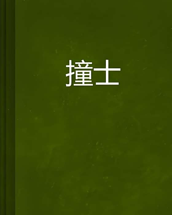 撞士