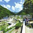 花果村(廣東惠陽區新圩鎮下轄村) 花果村(廣東惠陽區新圩鎮下轄村)