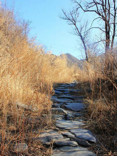 王平古道 王平古道