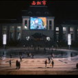 西虹市 西虹市