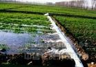 地面灌溉