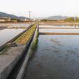 明洋村(福建南平市延平區南山鎮明洋村) 明洋村(福建南平市延平區南山鎮明洋村)