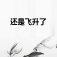 還是飛升了 還是飛升了