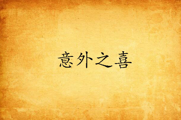 意外之喜(網路小說) 意外之喜(網路小說)