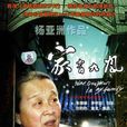 家有九鳳(2005年楊亞洲執導電視劇) 家有九鳳(2005年楊亞洲執導電視劇)